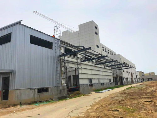 伯納天純 開拓國產(chǎn)寵物食品新藍海